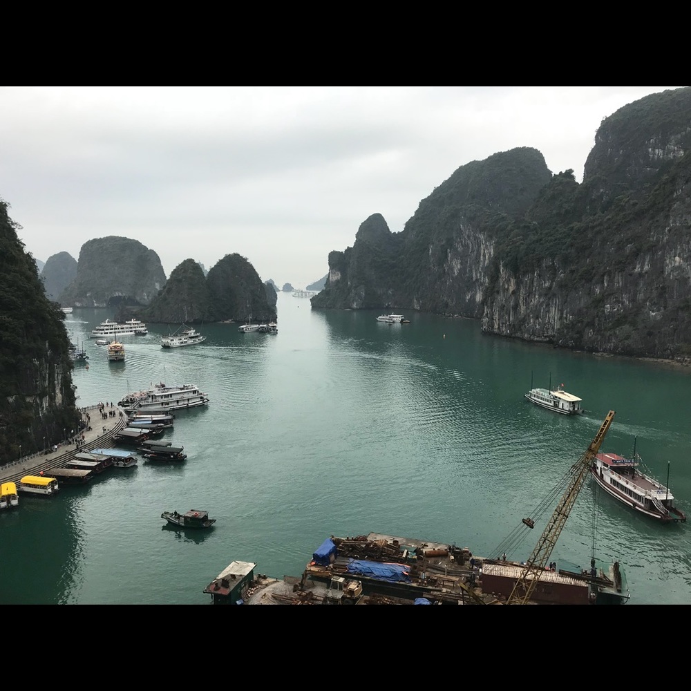 Meet your Posher, Vanessa